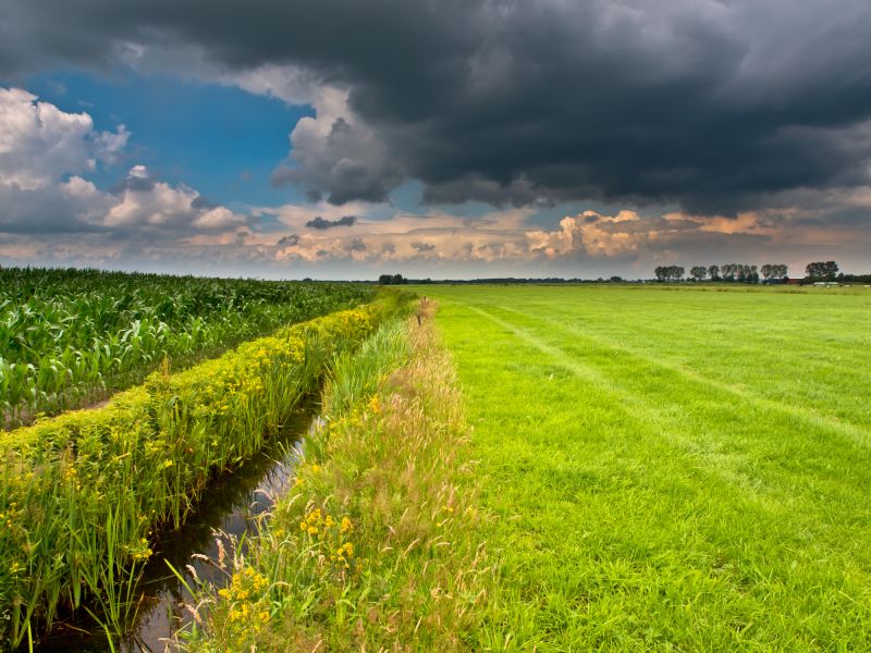 Landscape And Drainage Service